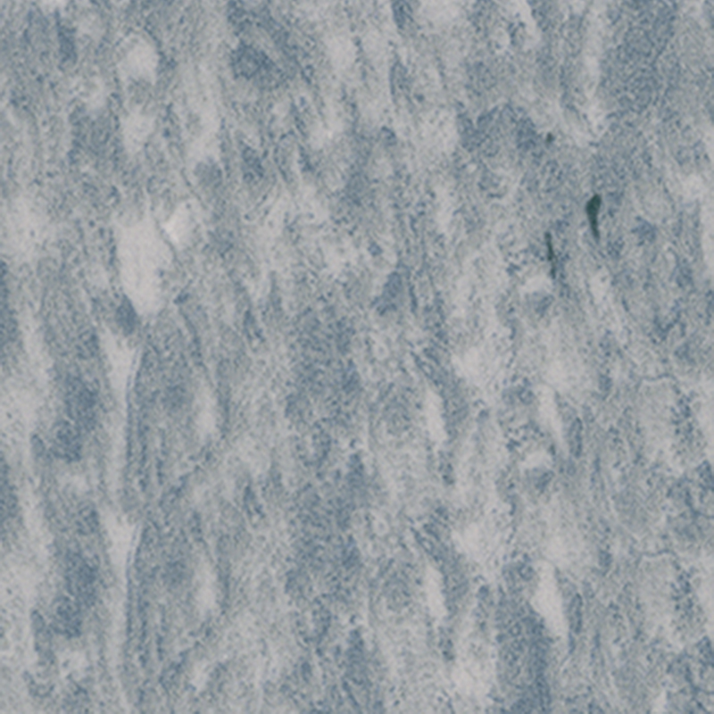 Duurzame heterogene vloeren met bedrukt ontwerp