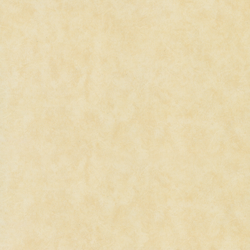 Milieuvriendelijke, slijtvaste heterogene vloeren