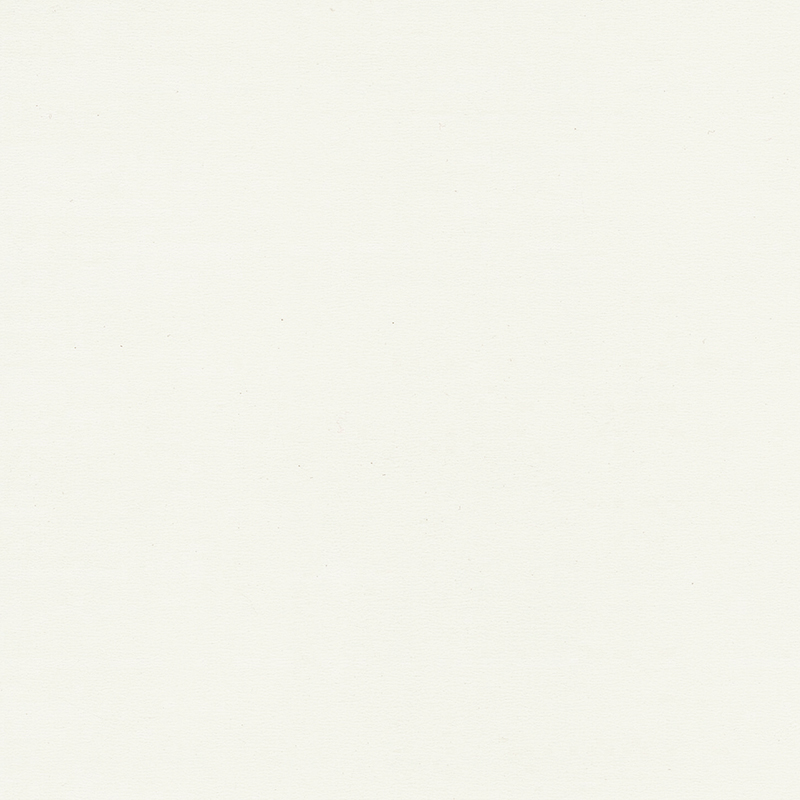 Hoogwaardige en unieke kleurhomogene vloeren