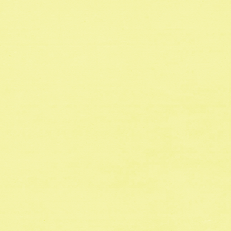 Hoogwaardige en unieke kleurhomogene vloeren