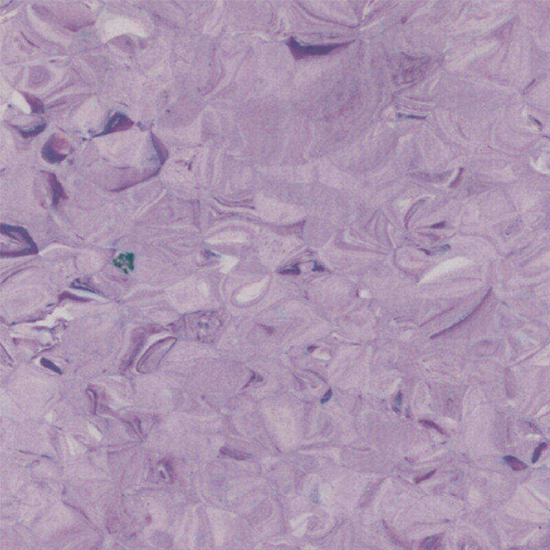 perfectbalance homogene vloer