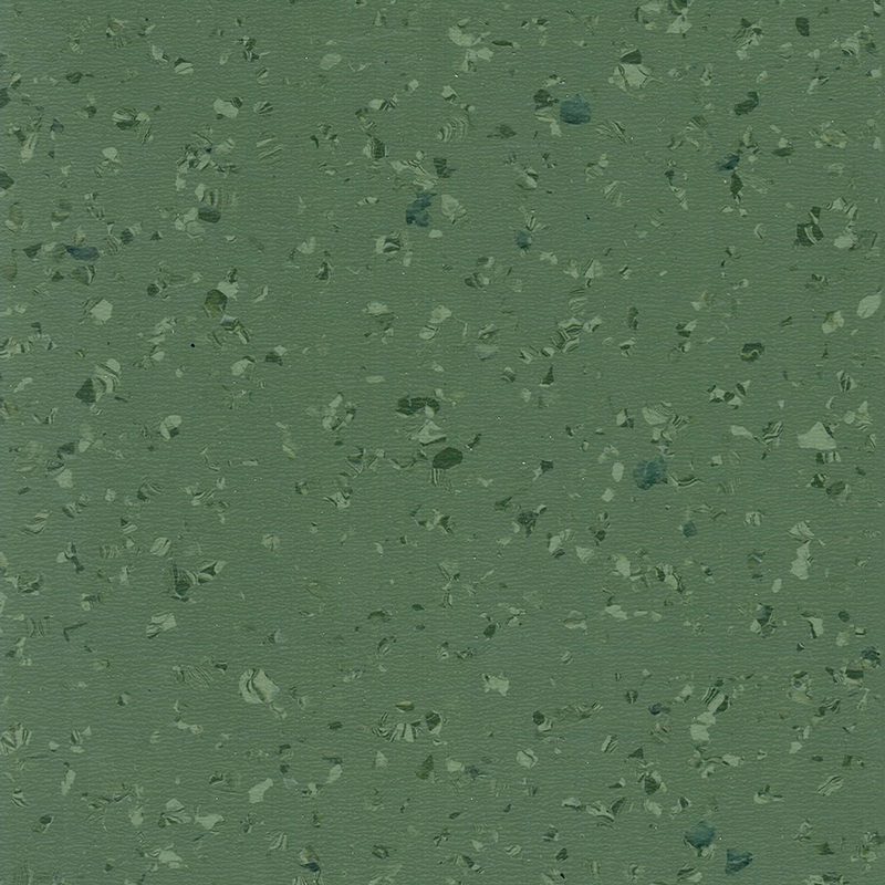 lichte en elegante homogene vloer