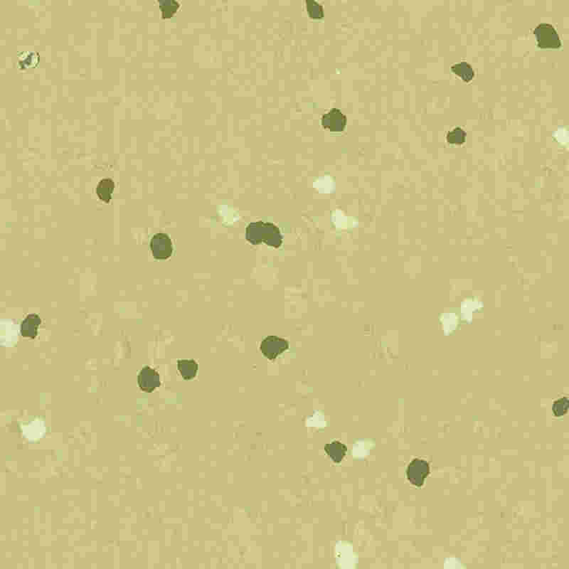 Krasvaste en zeer elastische rubberen vloeren