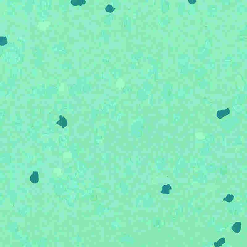 Krasvaste en zeer elastische rubberen vloeren