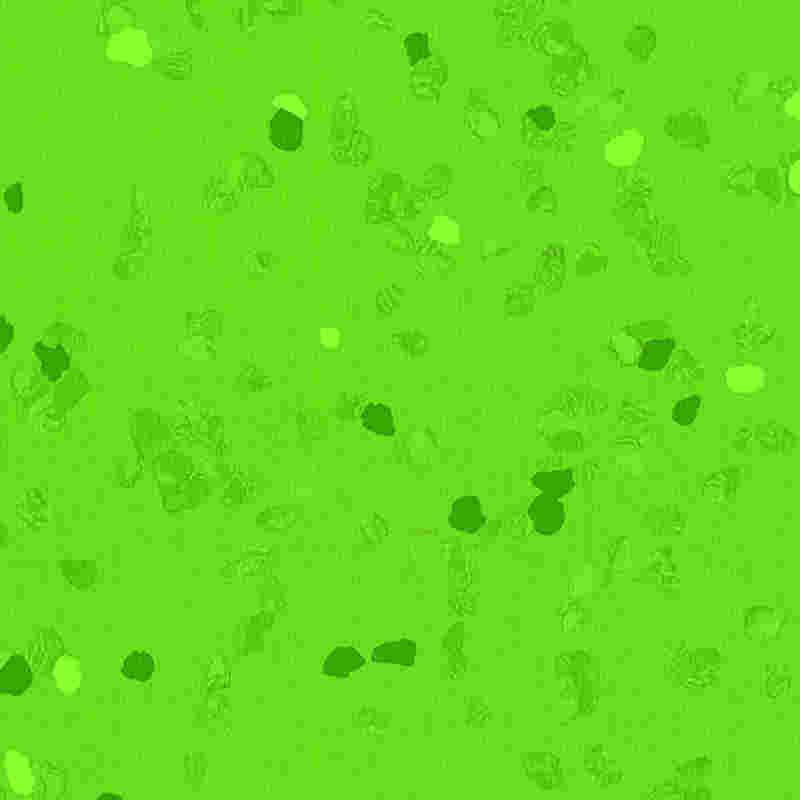 Krasvaste en zeer elastische rubberen vloeren