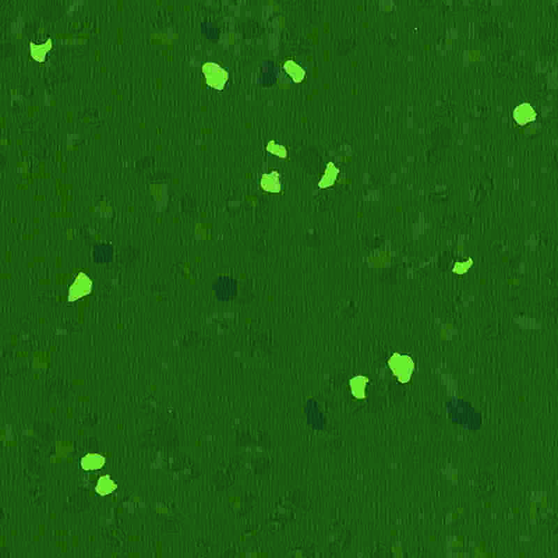 Krasvaste en zeer elastische rubberen vloeren