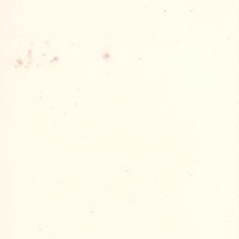 Hoog aanpassingsvermogen en naadloze rubberen vloeren