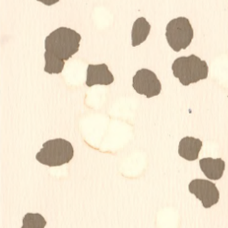 Antislip- en krasbestendige rubberen vloeren